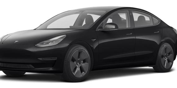 TESLA MODEL 3 2021 5YJ3E1EA0MF879173 image